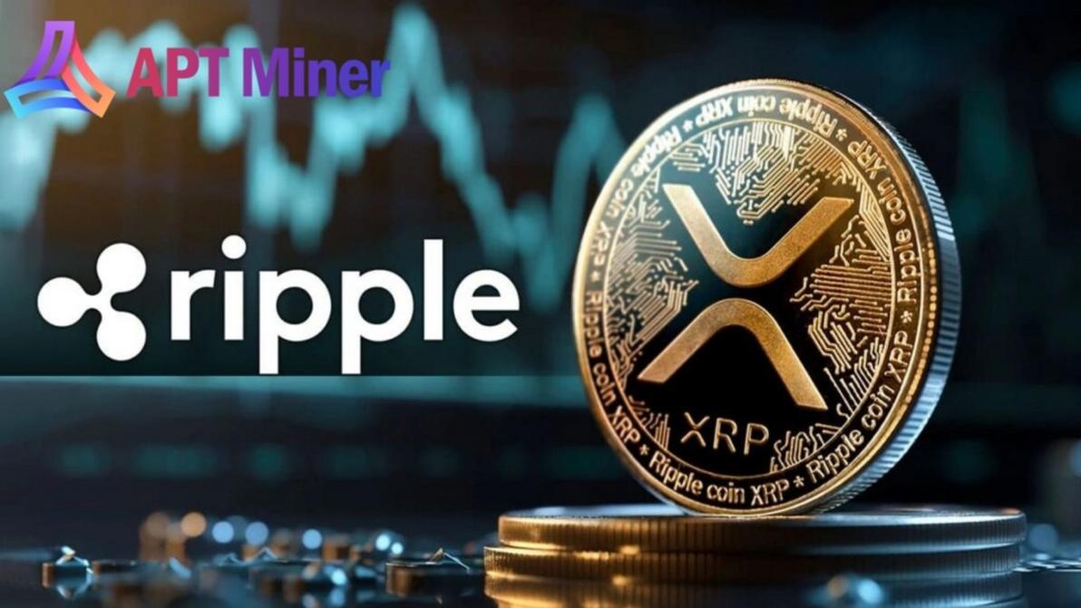 Neue Option für passives Einkommen: Immer mehr XRP- und ETH-Inhaber verdienen mehr als 3.000 USD pro Tag Neue Option für passives Einkommen: Immer mehr XRP- und ETH-Inhaber verdienen mehr als 3.000 USD pro Tag