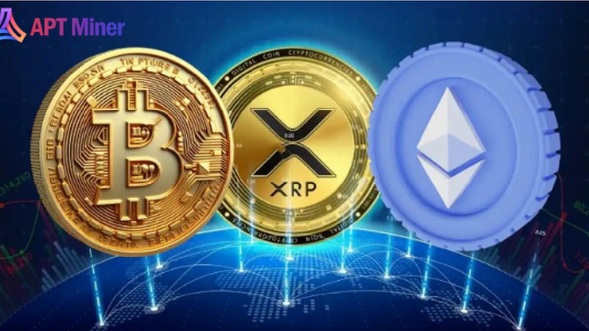 SOL-, XRP- und DOGE Investoren: APT Miner Cloud Mining, verdient 10.500 US-Dollar pro Tag SOL-, XRP- und DOGE Investoren: APT Miner Cloud Mining, verdient 10.500 US-Dollar pro Tag