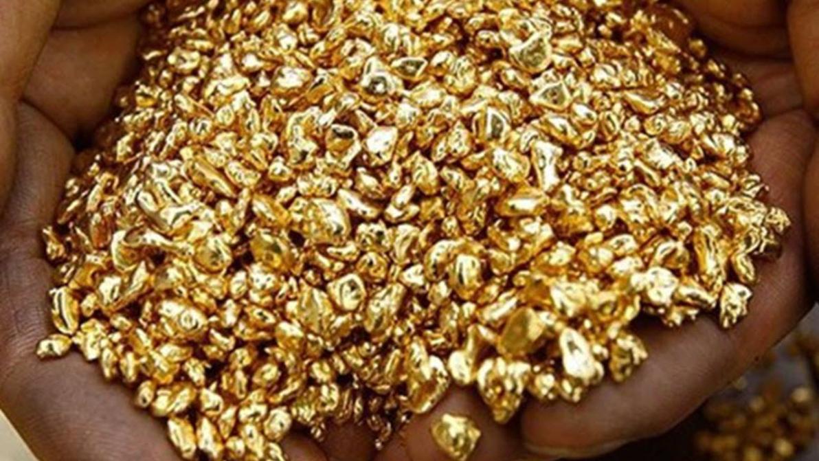 Breaking News: Canary Gold findet sichtbares Gold! Breaking News: Canary Gold findet sichtbares Gold!