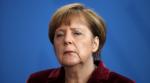 AfD: Merkel scheint für rationale Argumente nicht mehr zugänglich