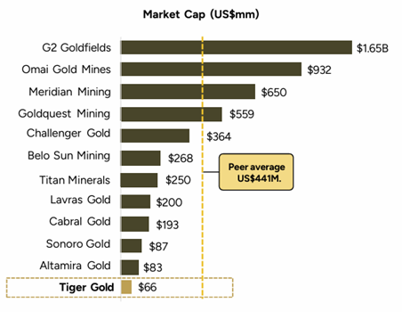 Market Cap Tiger