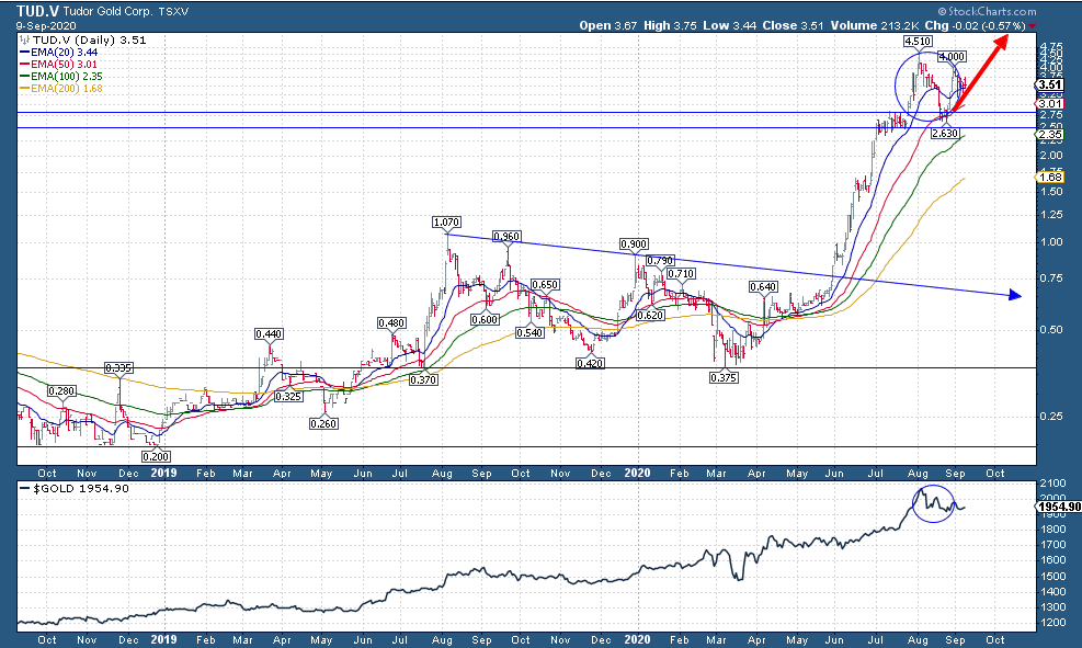 Tudor Gold Chart_09