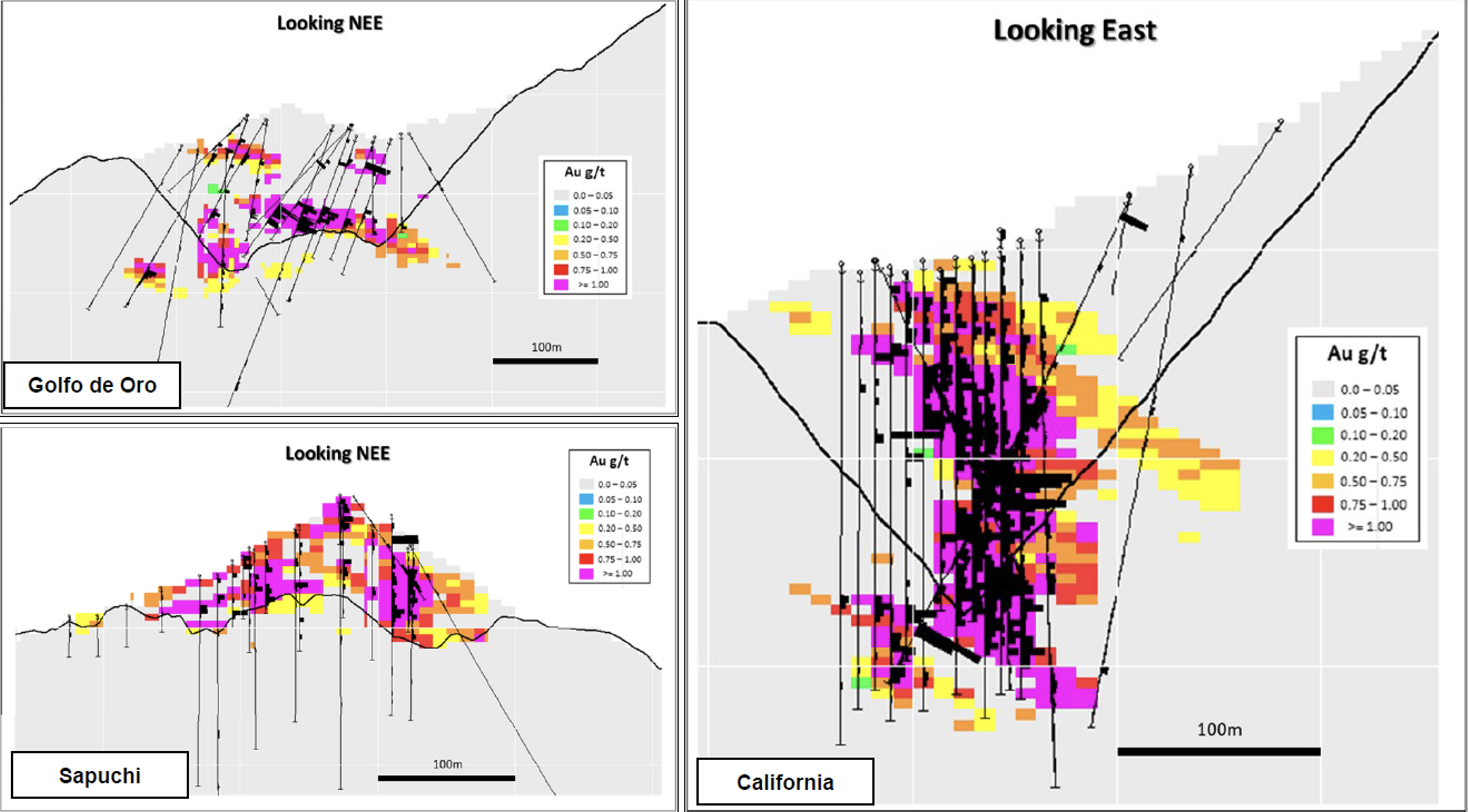Golfo de Oro_Sapuchi_California