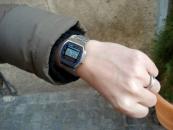 casio