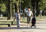 grundsicherung für rentner