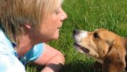 hundehalter haftpflicht