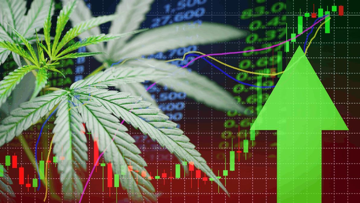 Verpönt? Vorbei! - Diese deutsche Cannabis-Aktie zündet den Turbo – mitten im Milliardenmarkt! Verpönt? Vorbei! - Diese deutsche Cannabis-Aktie zündet den Turbo – mitten im Milliardenmarkt!