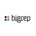 Logo BigRep SE Logo BigRep SE
