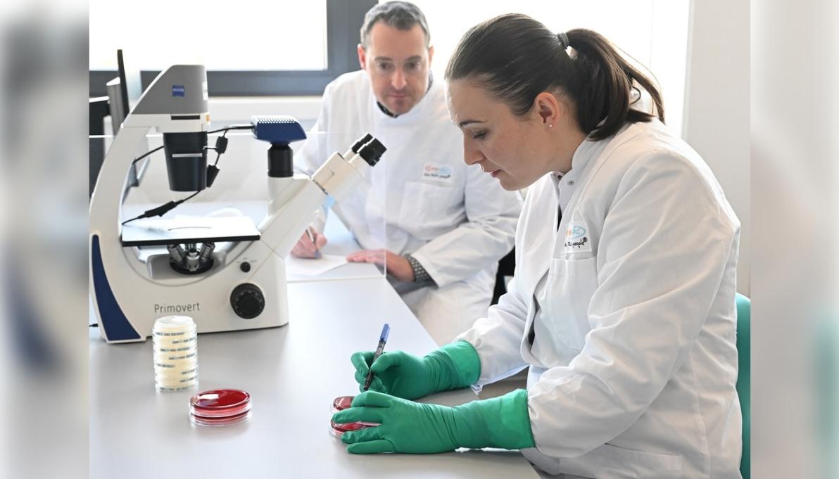 Milliardenmarkt - BioNTech, CureVac & Moderna: Welches Unternehmen gewinnt das mRNA-Rennen? Milliardenmarkt - BioNTech, CureVac & Moderna: Welches Unternehmen gewinnt das mRNA-Rennen?