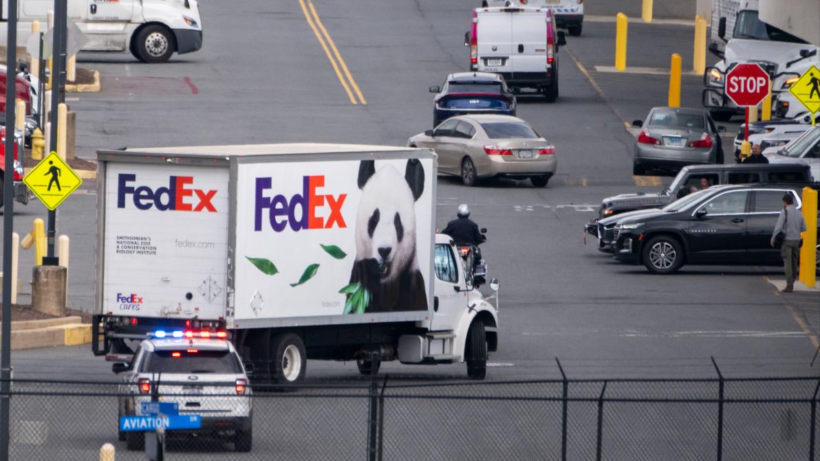 Logistik-Riese - FedEx-Schock: Aktie stürzt nach erneuter Gewinnwarnung ab Logistik-Riese - FedEx-Schock: Aktie stürzt nach erneuter Gewinnwarnung ab