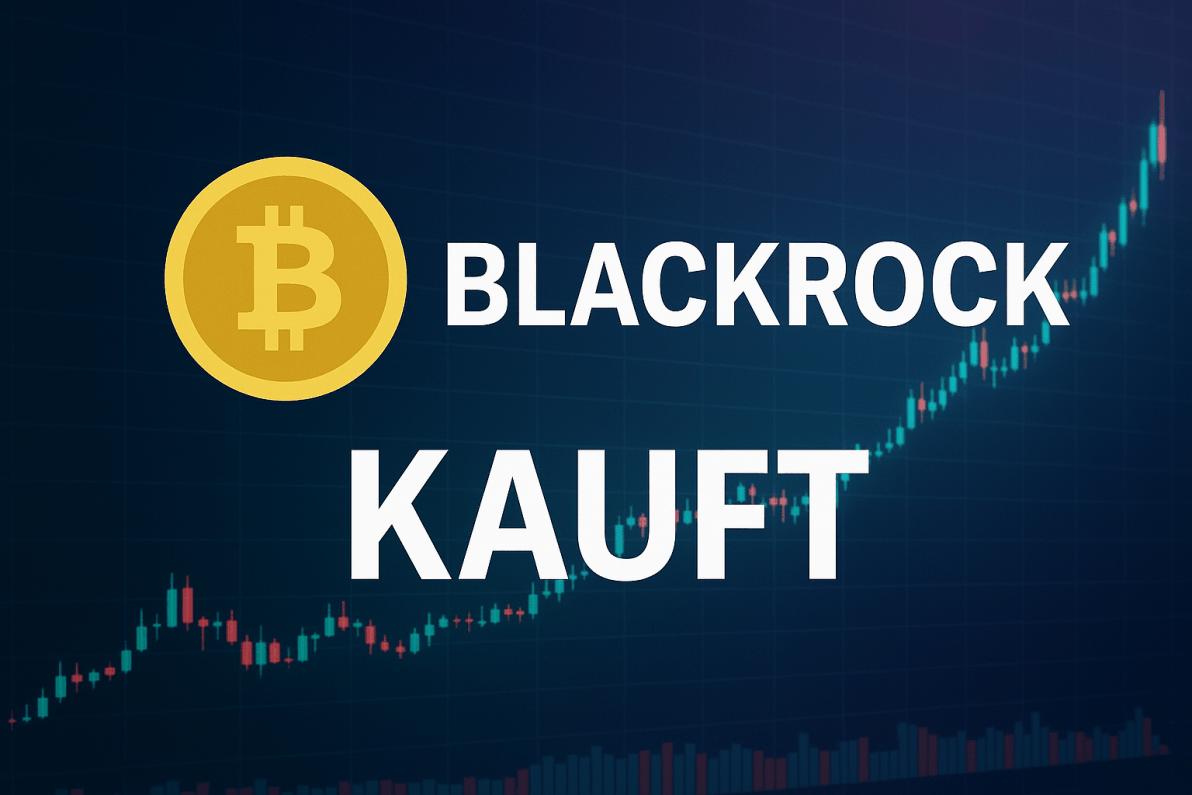 BlackRock investiert 230 Millionen Dollar während des Bitcoin-Kursdips BlackRock investiert 230 Millionen Dollar während des Bitcoin-Kursdips