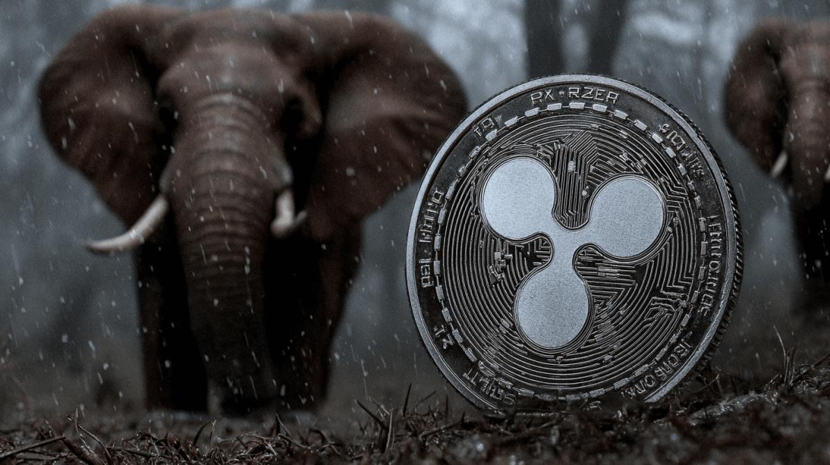 XRP zieht am nächsten Elefanten vorbei XRP zieht am nächsten Elefanten vorbei