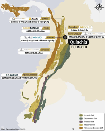 Quinchía Tiger Gold