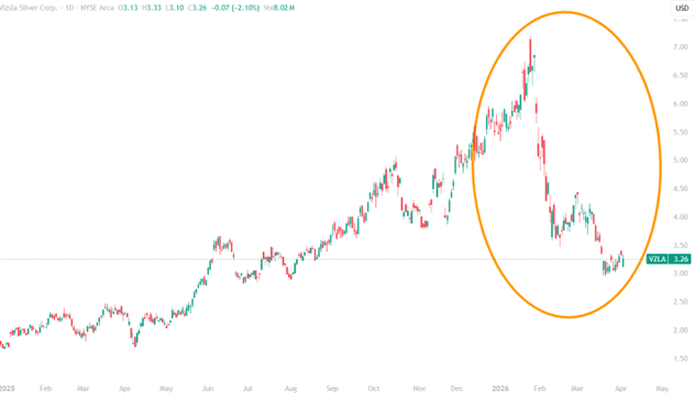 Vizsla Silver für EMR