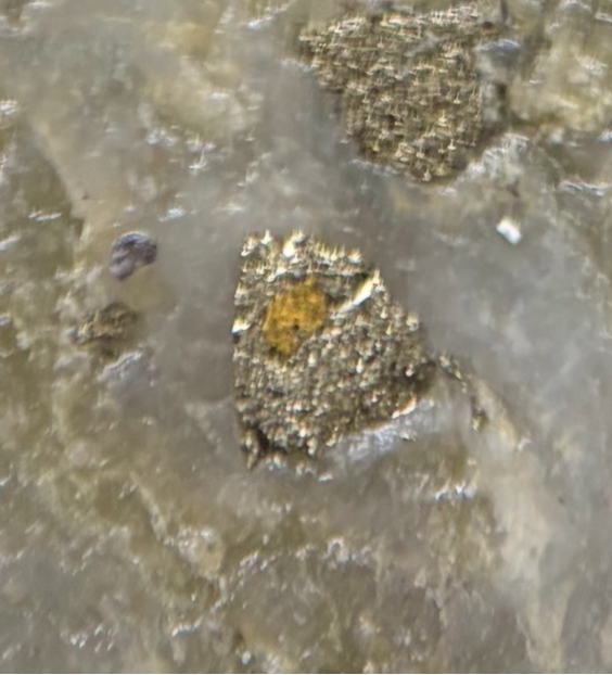 The image shows a rough, weathered surface with a small, orange object on top. AI-generated content may be incorrect.