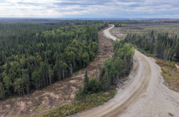 The image shows a dirt road cutting through a forested area with trees on both sides, under a partly cloudy sky. Le contenu généré par l'IA peut être incorrect.