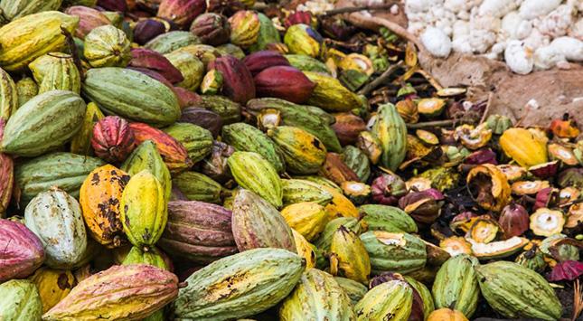 Au backe!: Kakaopreis durchschlägt wichtige Unterstützung