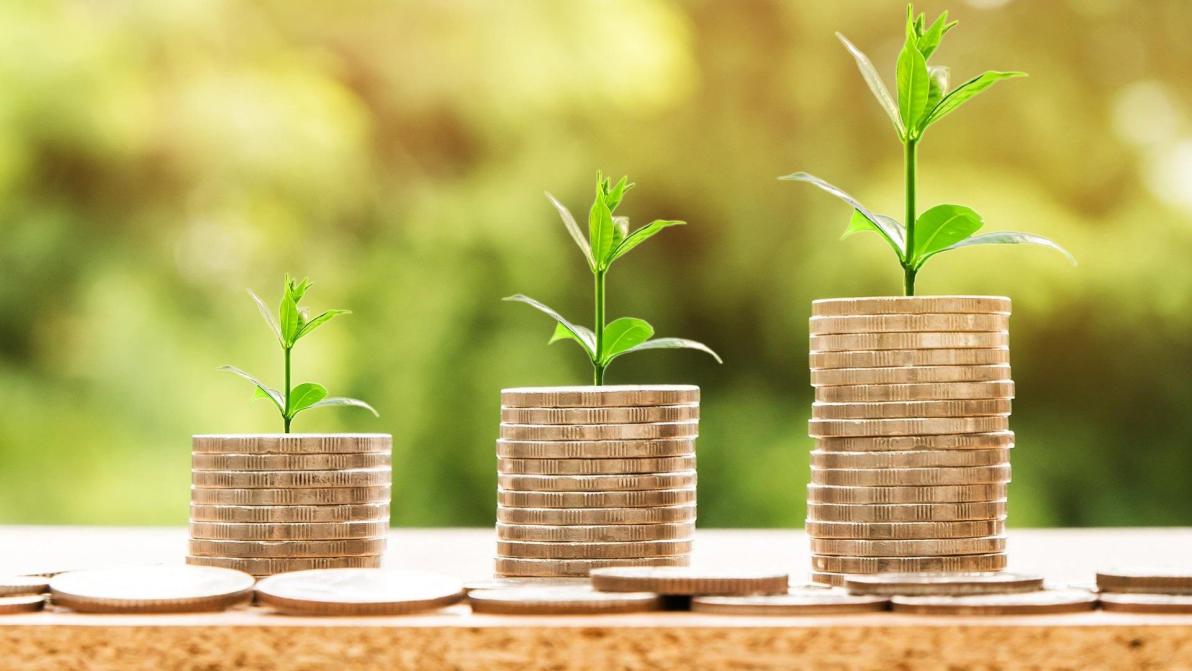 10.000 Euro investieren, 585 Euro Dividende ergattern: Diese Aktie macht’s möglich! 10.000 Euro investieren, 585 Euro Dividende ergattern: Diese Aktie macht’s möglich!