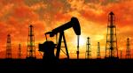 Öl im Fokus der Anleger - OPEC-Treffen am 30. November in Wien