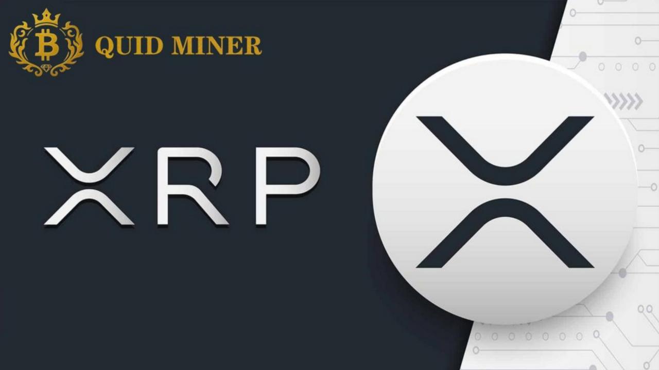 XRP und DOGE stiegen stark - Anleger begegnen Marktturbulenzen mit 5.377  USD pro Tag bei Quid Miner - 19.07.2025