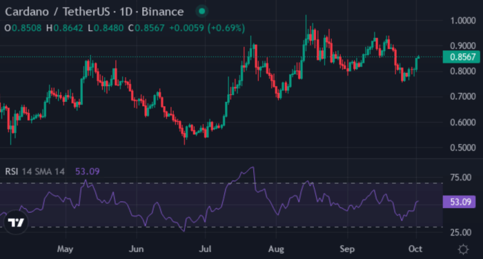Chart ADA