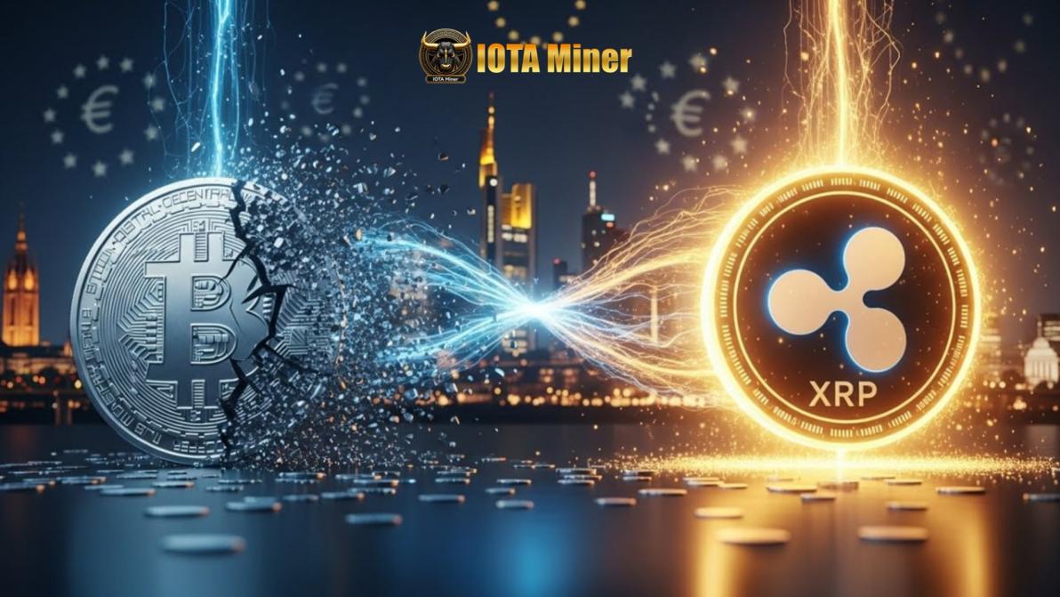 XRP Fokus：XRP-ETF saugt Kapital an, während BTC-ETFs abfließen: Ist das der  Start einer neuen Altcoin-Saison? - 19.12.2025