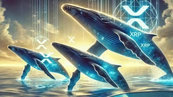 Nachrichten Teaser Bild