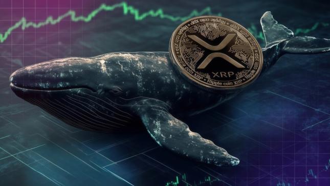 XRP erlebt ein Wachstum!: Anchor hat globalen Investoren einen neuen Weg eröffnet, um „geringes Risiko, hohe Renditen“ zu erzielen