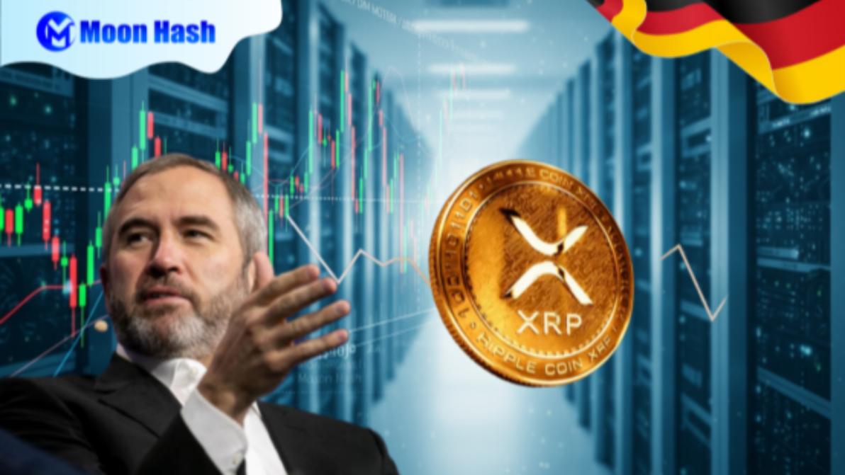 XRP steht wieder im Rampenlicht: Markt dreht auf – Investoren wittern  außergewöhnliche Chancen - 28.01.2026
