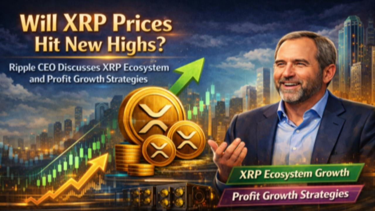 XRP auf Rekordkurs? Ripple-CEO spricht über Ökosystem & Gewinnstrategien -  26.01.2026