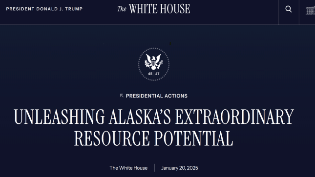 Trump. Zölle. Craig Parry. Vizsla Copper wird zur strategisch wichtigsten Kupferaktie Nordamerikas