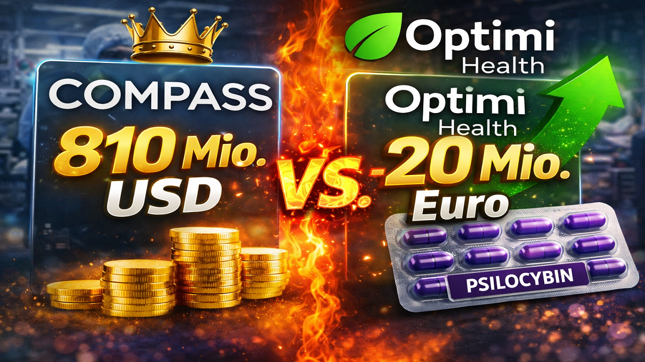 Diese Chance nutzen - Die gr&ouml;&szlig;te Bewertungsl&uuml;cke im globalen Mental-Health-Markt 