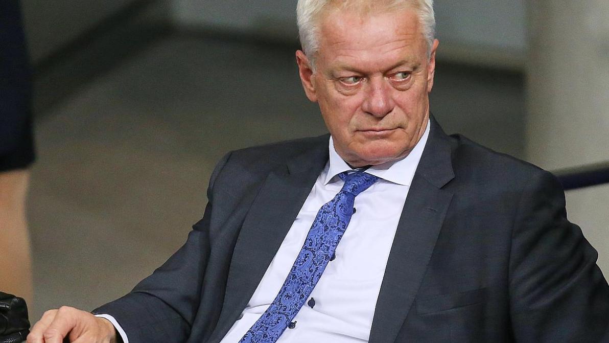 Wirtschaft - Rainer will Auflagen durch EU-Entwaldungsverordnung verringern