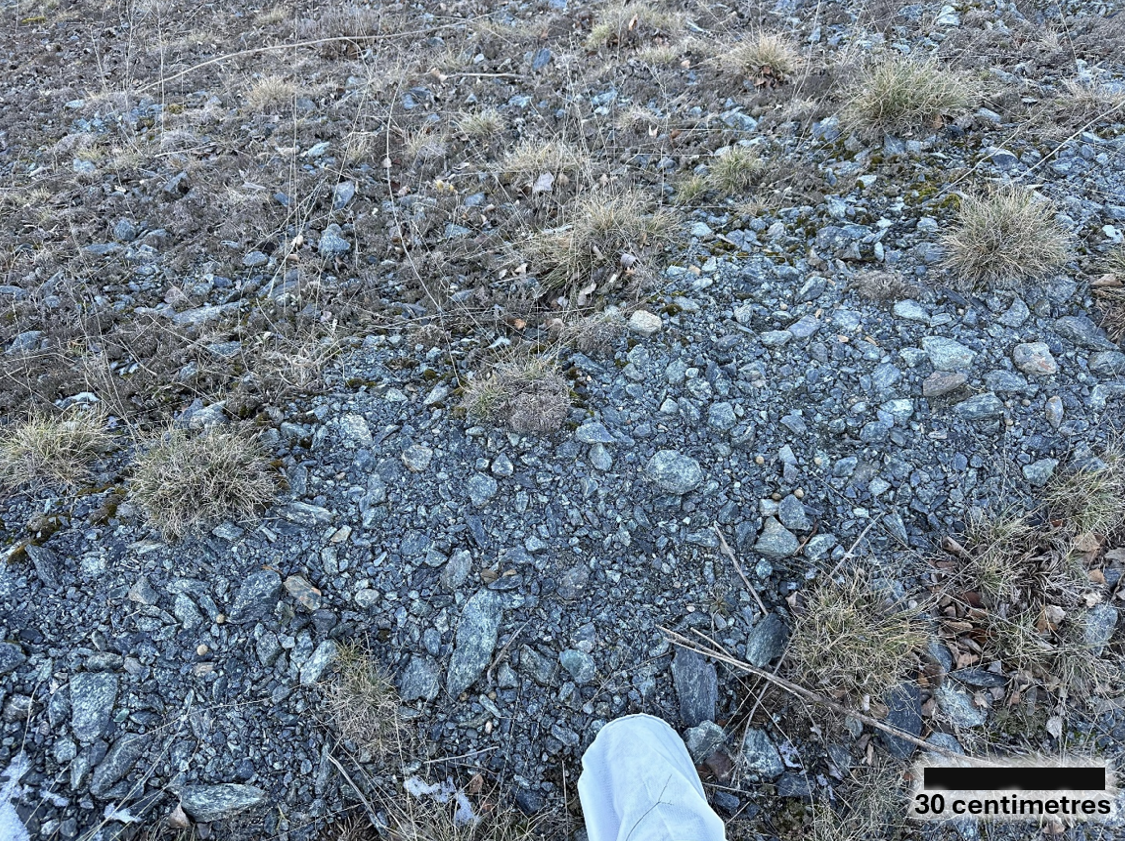 ARU-Zerkleinertes Material