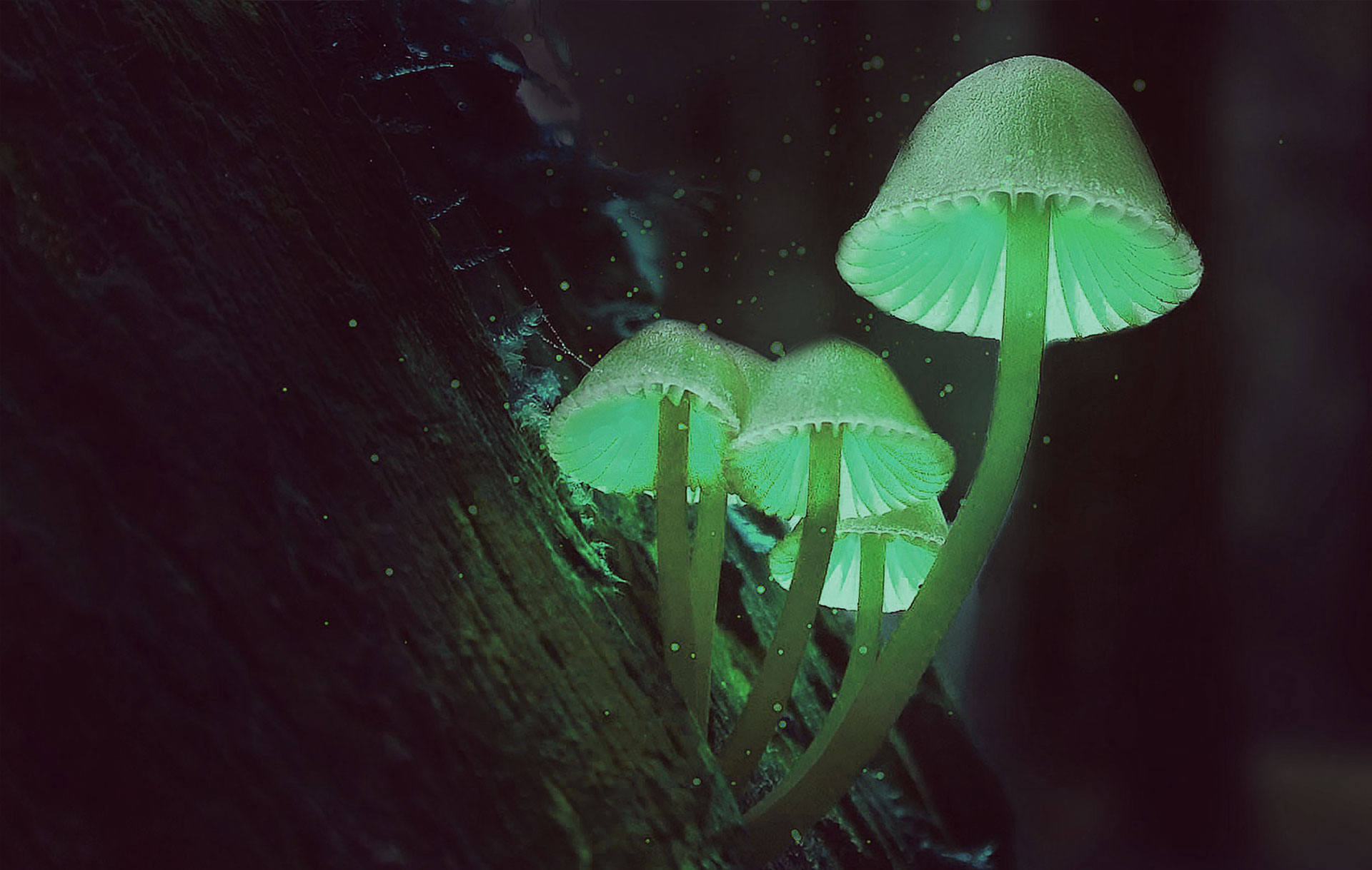 atai Life Sciences Let’s get high! 21.06.2021