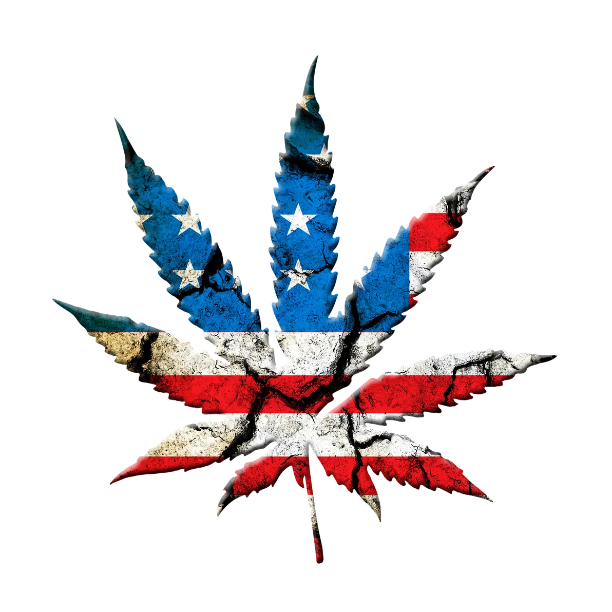 Canopy Growth, American Atomics, Palantir – Energie und Cannabis mit mächtigem Potential