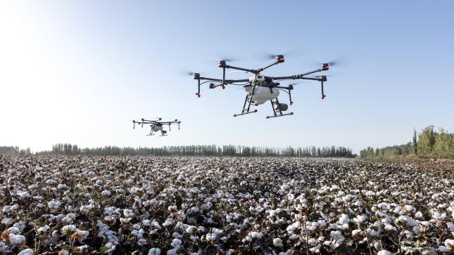 Drohnen-Taktik: AeroVironment, Volatus Aerospace oder DroneShield – wer hebt wieder ab?