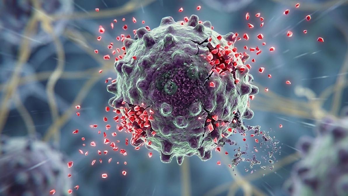 Übernahmewelle bei Biotechs: Eli Lilly, Vidac Pharma und GSK im Aktiencheck!