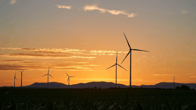 Bloom Energy, RE Royalties, Fuelcell Energy – Neue Milliarden für die Energiezukunft