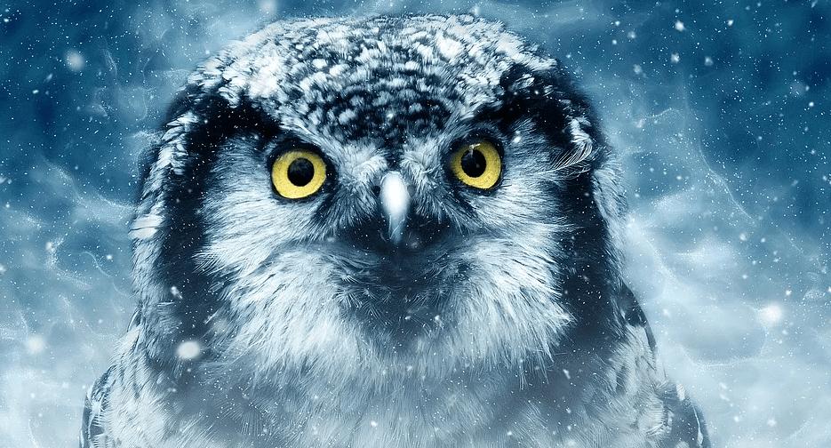 Korrektur und hohe Vola, Triple AAA ist angesagt - Amazon, Aspermont und Alibaba halten ihre Versprechen!