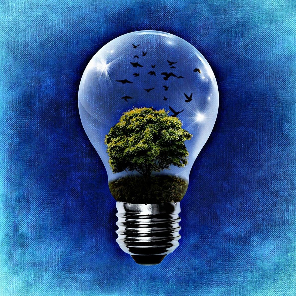 Enormes Wachstum durch Stromhunger voraus: CHAR Technologies, Siemens Energy, Nel – wer hat die Nase vorn?