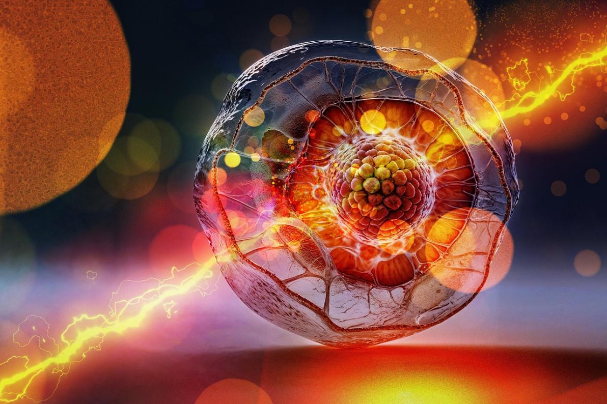 Elektromobilität braucht Graphit genau wie der KI-Energiehunger – jetzt bei BYD, Graphano Energy und Intel genau hinschauen