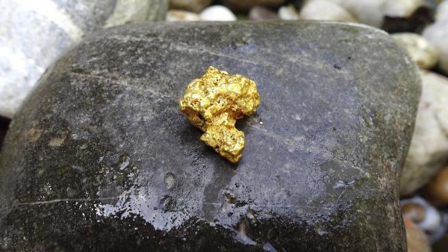 Daten- und KI-Riese, Server-Boom und ein Gold-Joker! Ein Blick auf Palantir, Super Micro und Desert Gold!