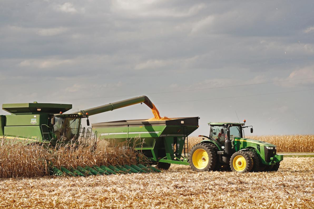 SHORT SQUEEZE bei Gerresheimer? WACHSEN Bayer und MustGrow bald gemeinsam?