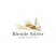 Logo Blende Silver