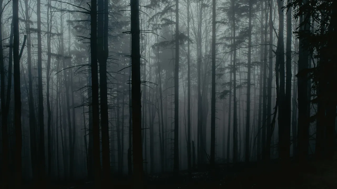 Wallstreet Online News