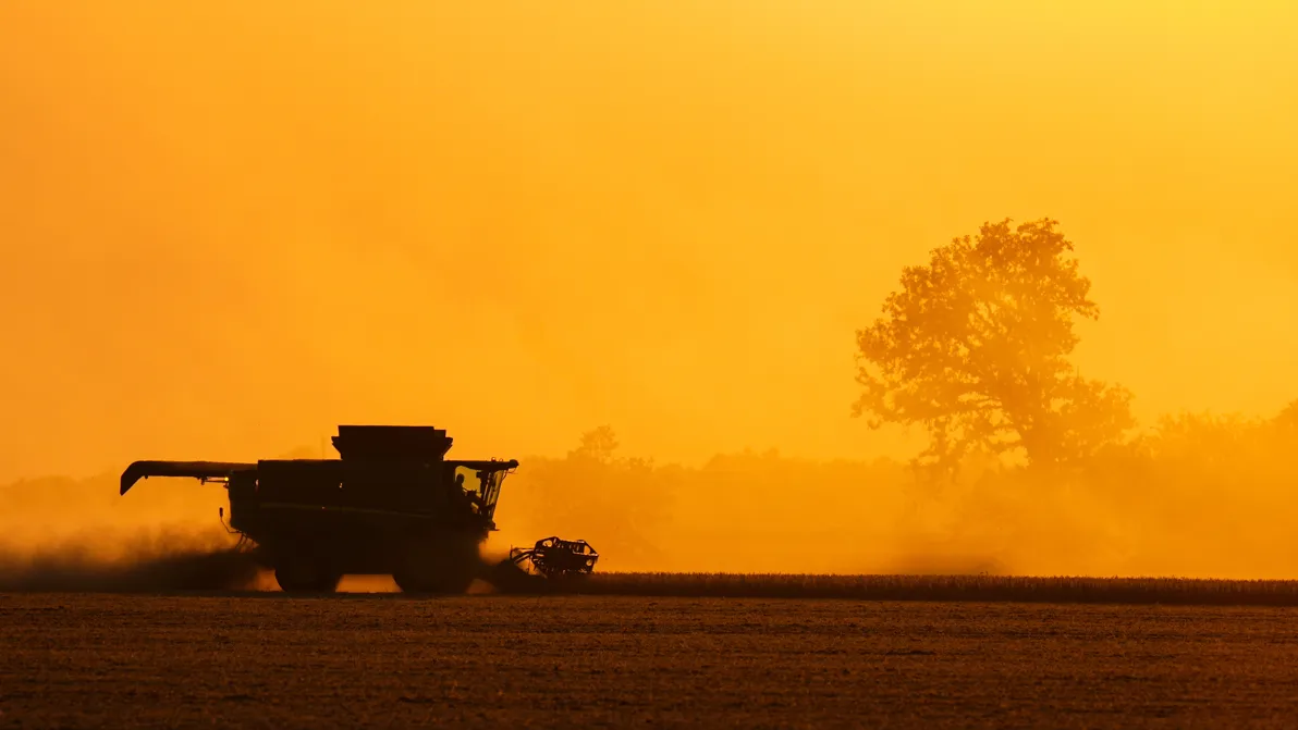 Ernte ohne Käufer - Sojabohnen: China kauft fast nichts mehr – Amerikas Farmer stehen im Regen