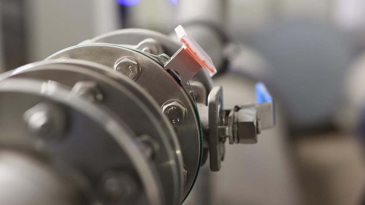 Börse, Baby! - Dividende seit 210 Jahren: Die wohl sicherste Aktie der Welt