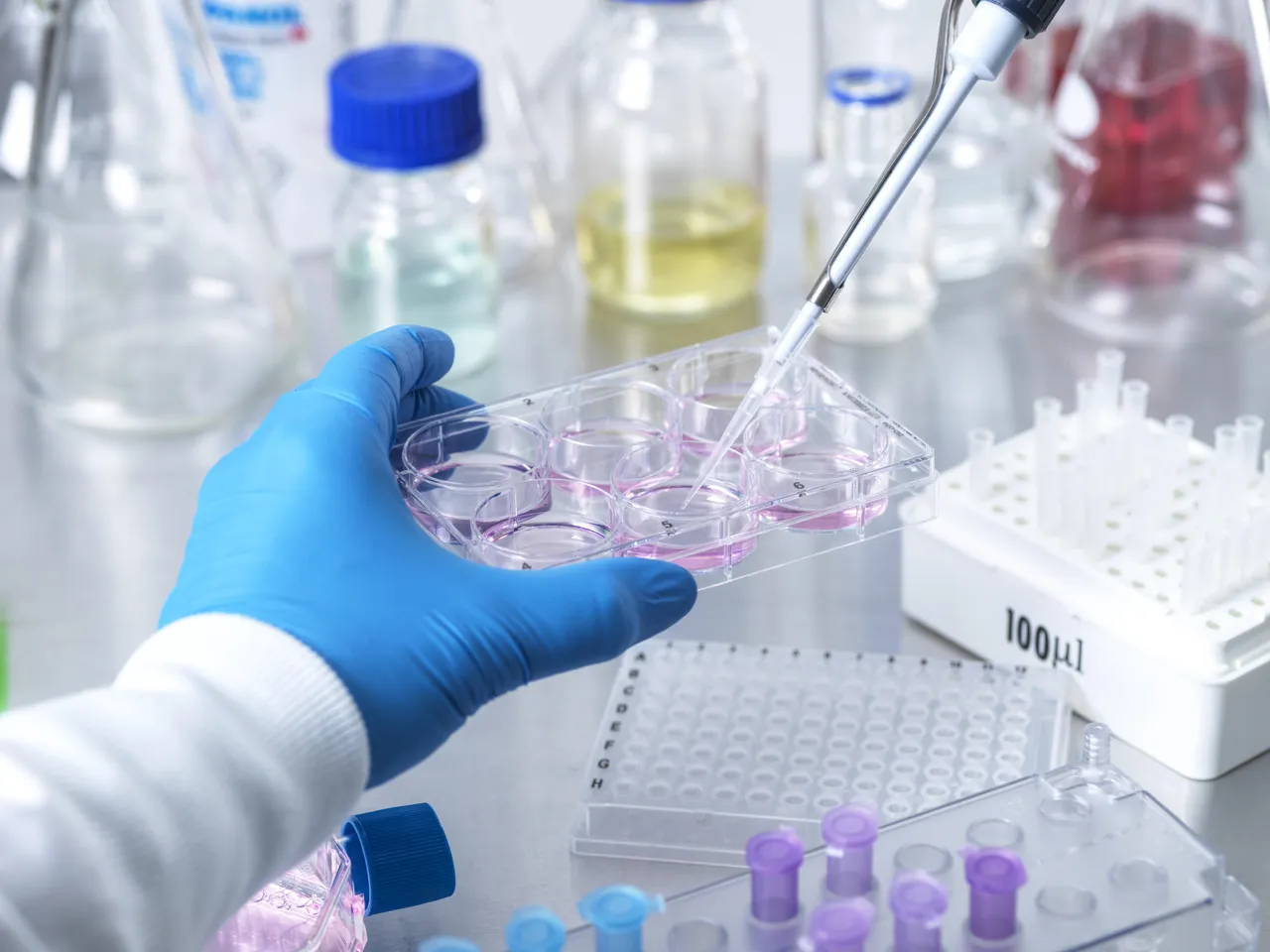 Wallstreet Online News