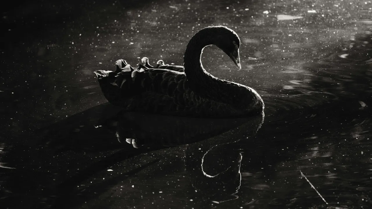 Wallstreet Online News